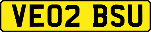 VE02BSU