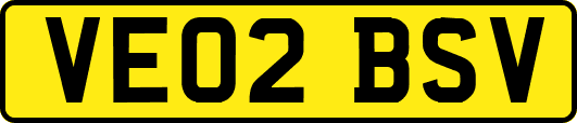 VE02BSV