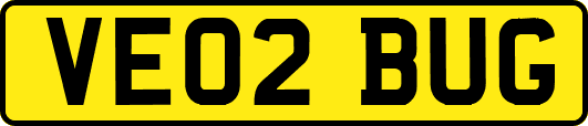 VE02BUG