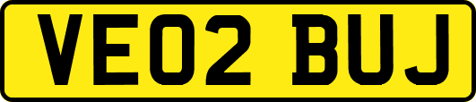 VE02BUJ
