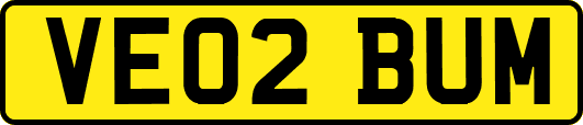 VE02BUM