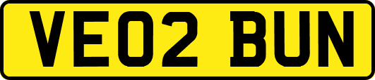 VE02BUN