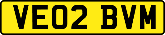 VE02BVM
