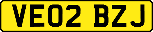 VE02BZJ
