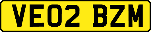 VE02BZM