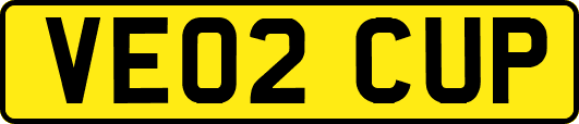 VE02CUP