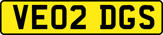 VE02DGS