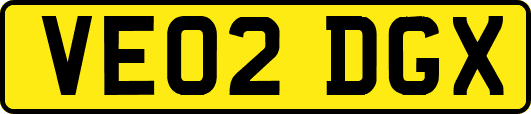 VE02DGX