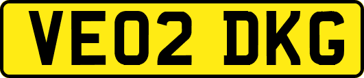 VE02DKG