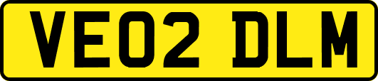 VE02DLM