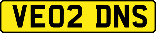 VE02DNS