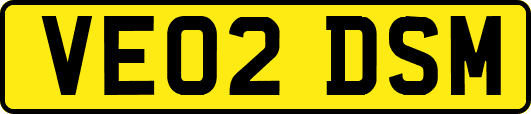 VE02DSM