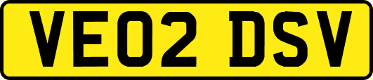 VE02DSV