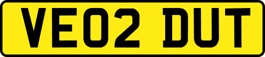 VE02DUT