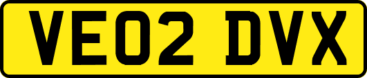 VE02DVX