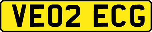 VE02ECG