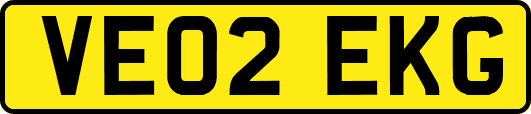 VE02EKG