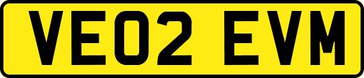 VE02EVM