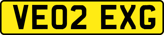 VE02EXG