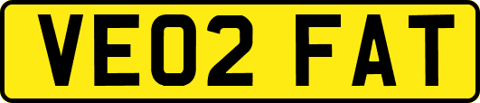 VE02FAT