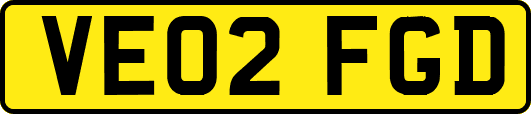 VE02FGD