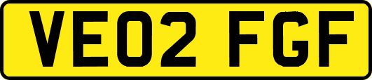 VE02FGF
