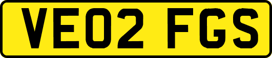 VE02FGS