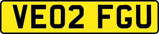 VE02FGU