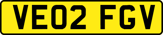 VE02FGV