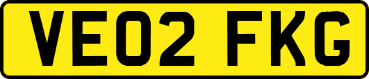 VE02FKG
