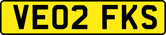 VE02FKS