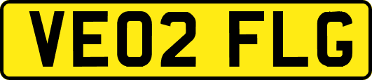 VE02FLG