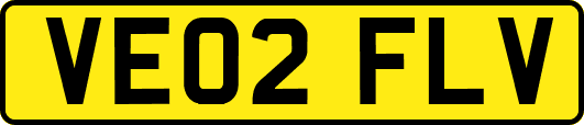 VE02FLV