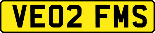 VE02FMS