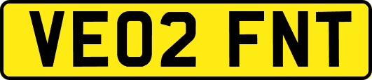 VE02FNT