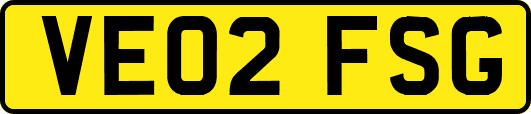 VE02FSG