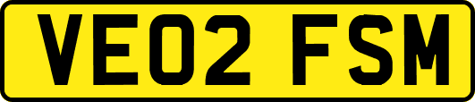 VE02FSM