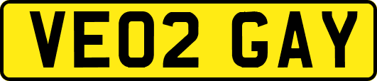 VE02GAY