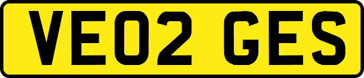 VE02GES