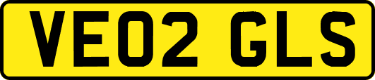VE02GLS