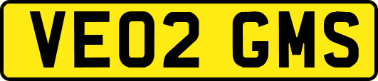 VE02GMS