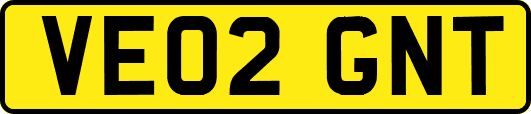 VE02GNT