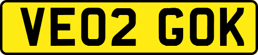 VE02GOK