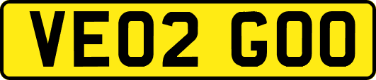 VE02GOO