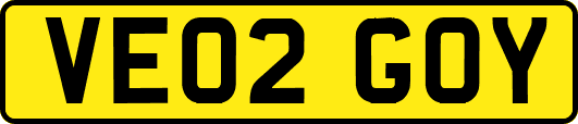 VE02GOY
