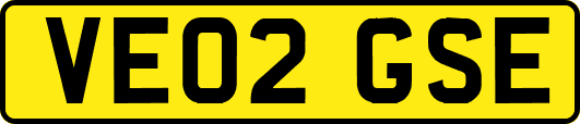 VE02GSE