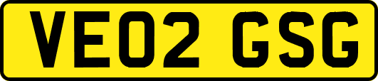 VE02GSG
