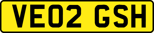 VE02GSH