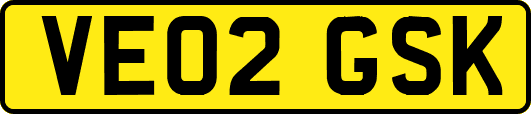 VE02GSK