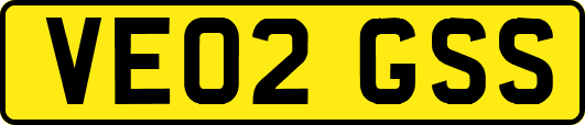 VE02GSS